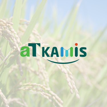 KAMIS