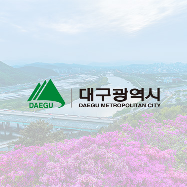 대구광역시 대표 소셜미디어 채널 운영